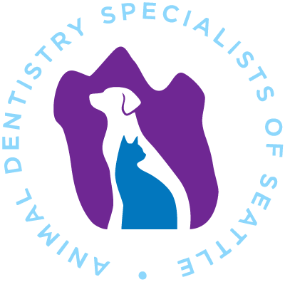 Dentistry Specialists of Seattle